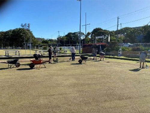 The Saga of the Green 2022 1