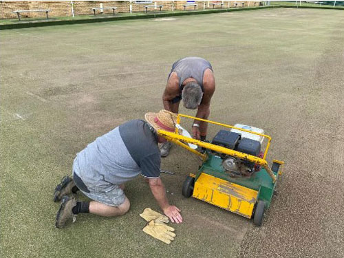 The Saga of the Green 2022 5